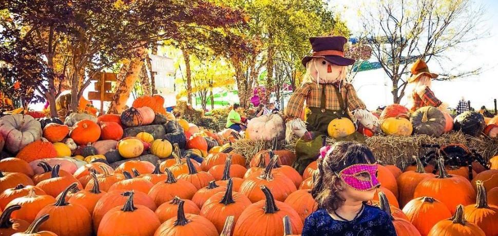 8 Must-Visit Halloween Places